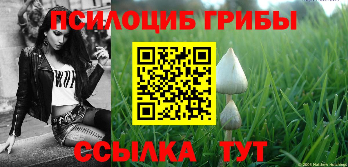 Cocaine  Лсд 25  МЕФ   ТГК  ГАШИШ  Протвино  Марихуана  Вход с VPN 