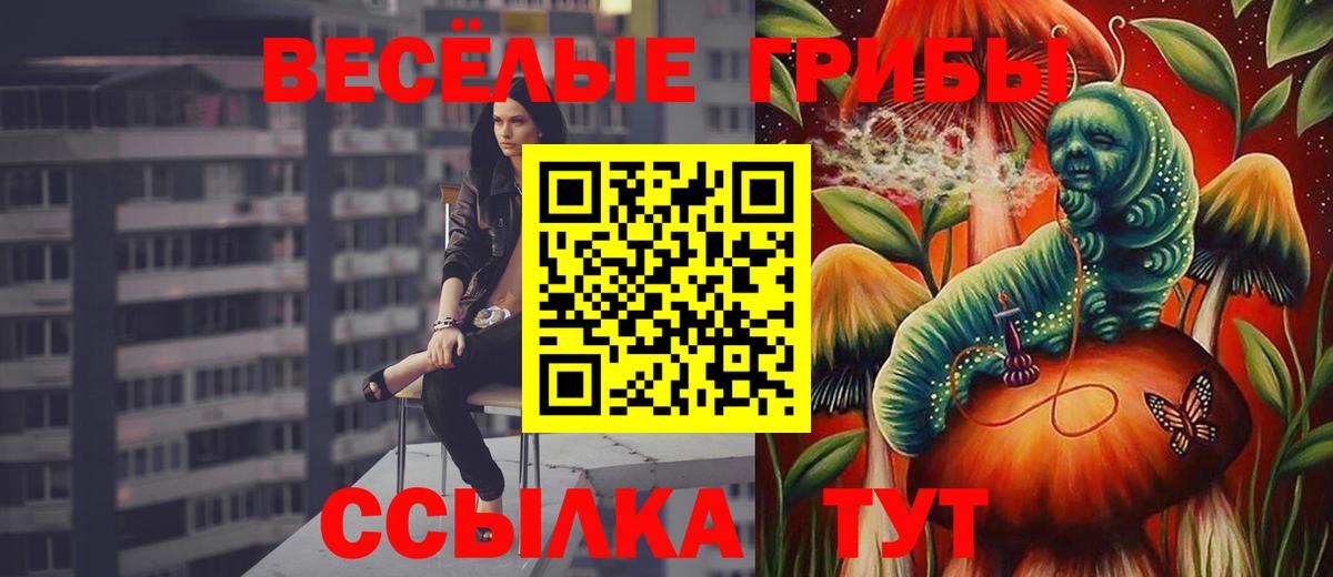 Псилоцибиновые грибы Psilocybine cubensis Протвино