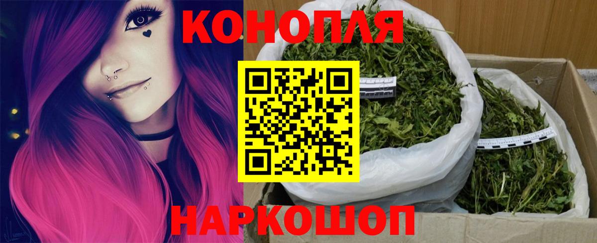 Шишки марихуана семена Протвино